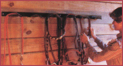curved bridle racks